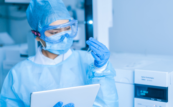 多主题、多语种建站方案