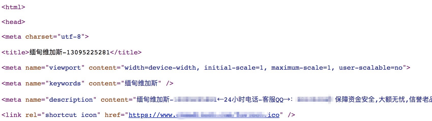 焦点领动外贸建站